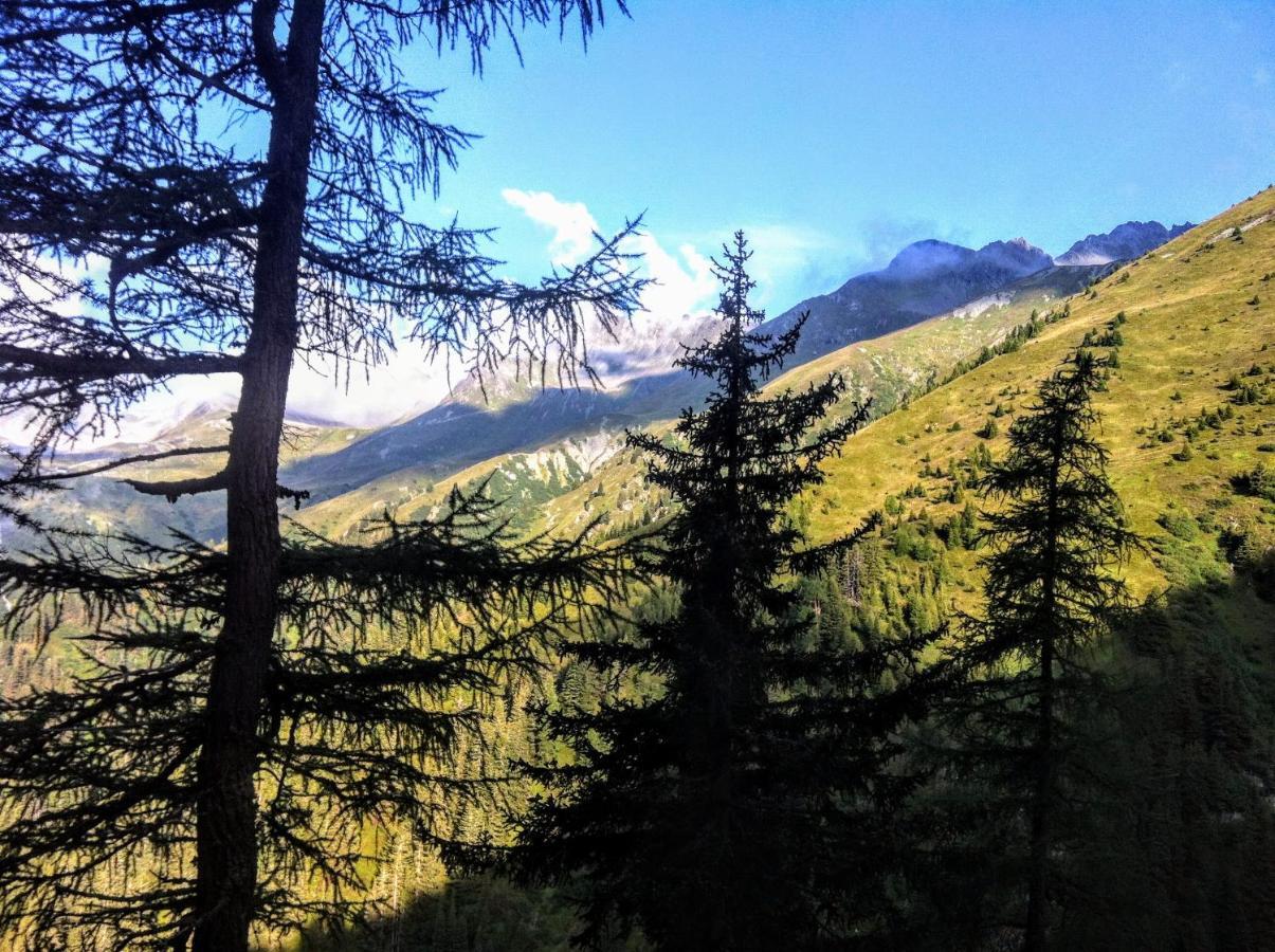 Apartment Cristina - Suedbalkon Mit Bergblick Seefeld in Tirol Eksteriør billede